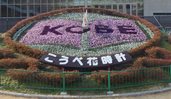 Flowering Information Of Koube Flower Flower Greenery Promotion Center