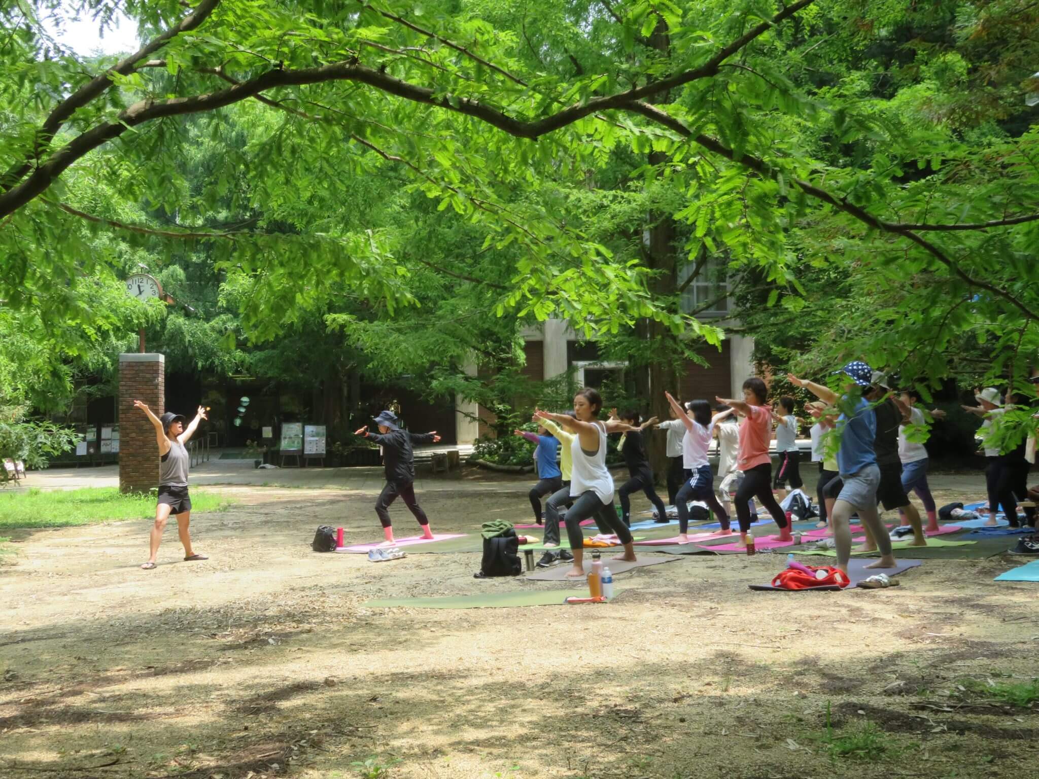 森林浴ヨガ ～夏の木陰deヨガ～ – 神戸市立森林植物園