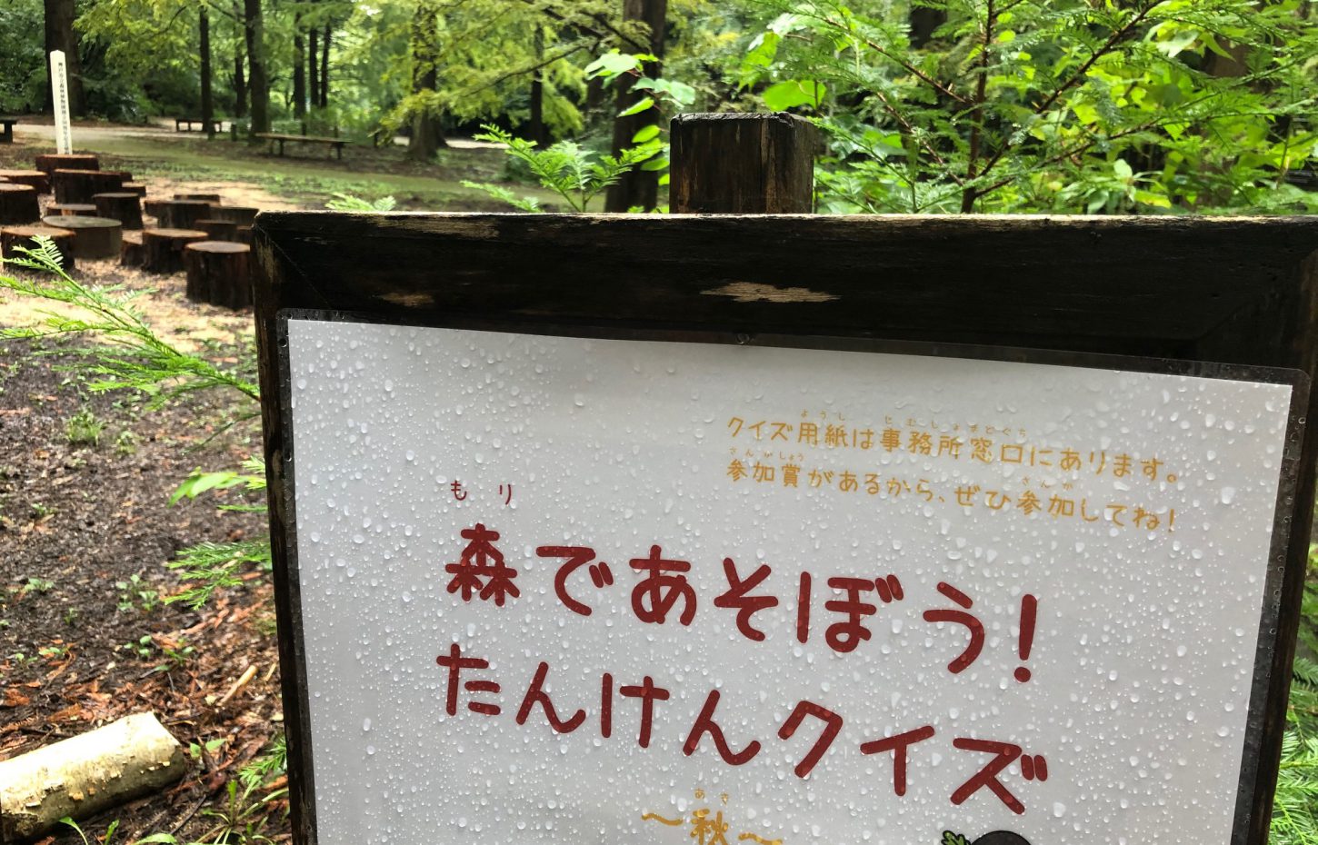 森であそぼう たんけんクイズ 秋 神戸市立森林植物園