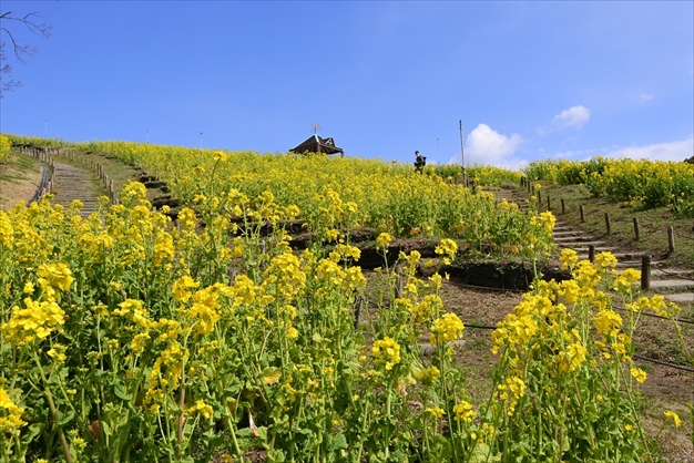 神戸総合運動公園 Kobe Sports Park