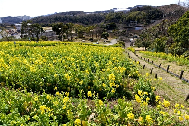 神戸総合運動公園 Kobe Sports Park