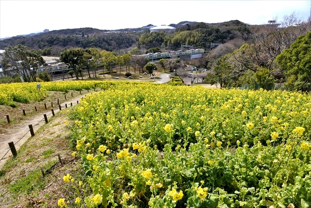 神戸総合運動公園 Kobe Sports Park