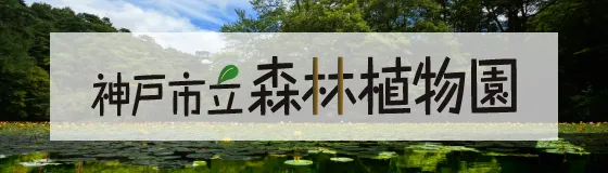 神戸市立森林植物園